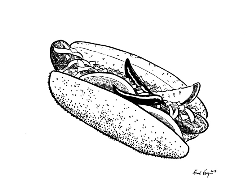 Illustration of a chicago style hot dog